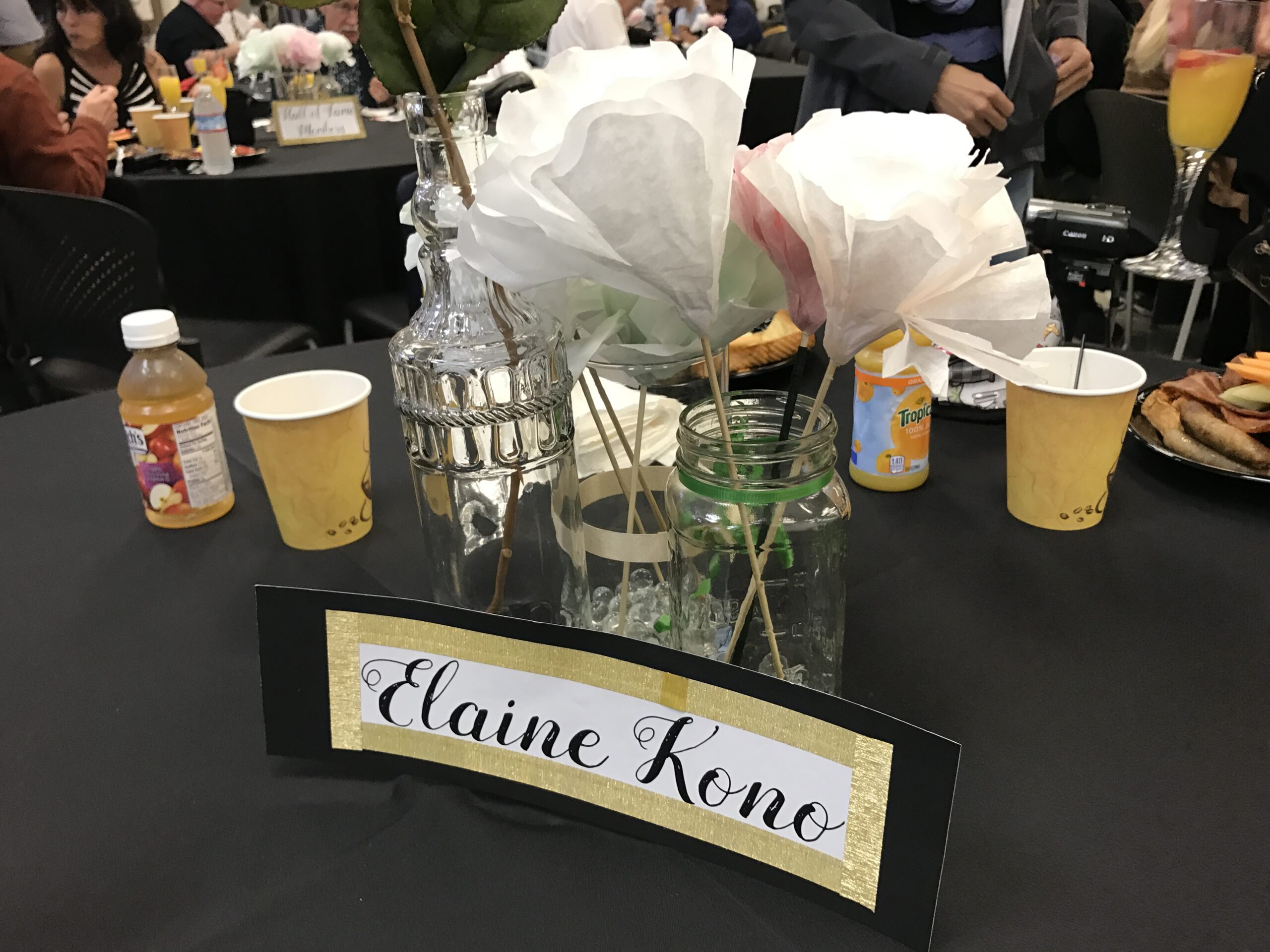 ElaineKono_HoF_Induction_2017_04