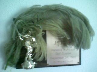 My-Green-Feather-2013_09_28-06_46_08-UTC